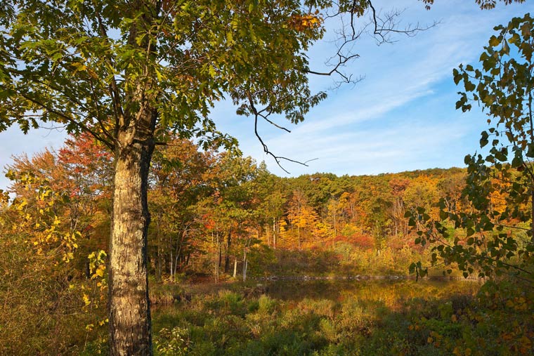 Illinois Mountain