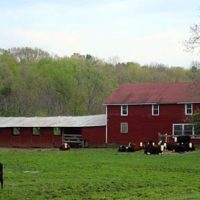McKeon Farm