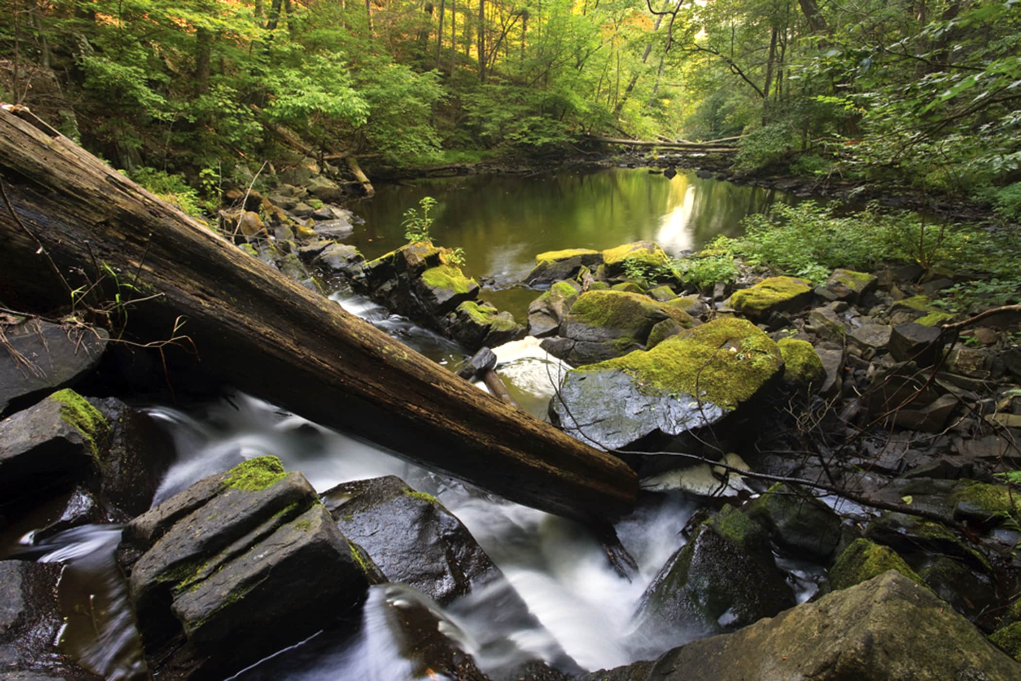 Black Creek Preserve