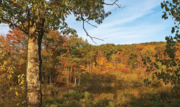 Illinois Mountain