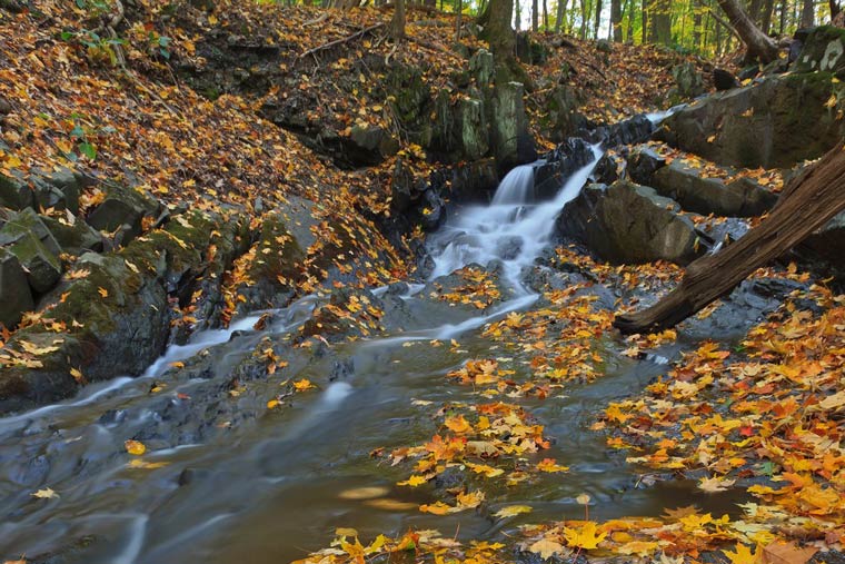 Falling Waters Preserve