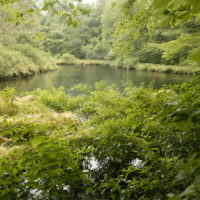 Hudson Highlands Gateway Park