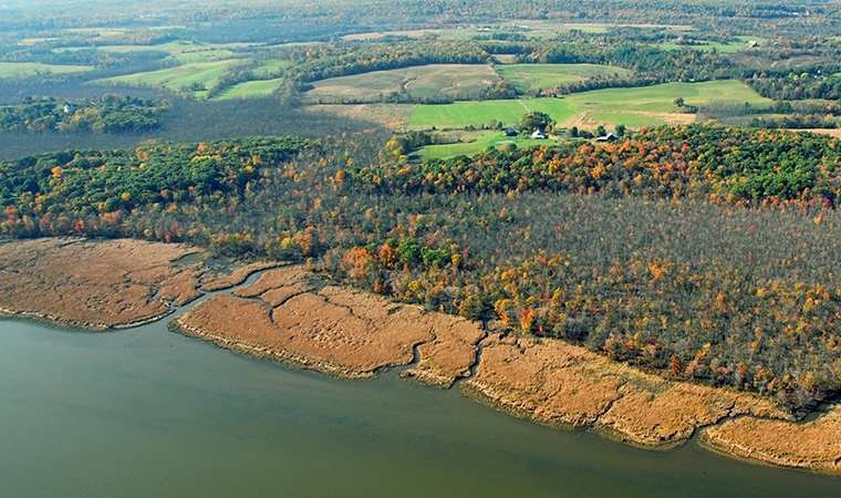 Ramshorn Marsh